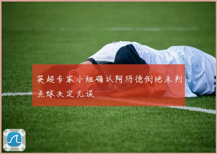 英超专家小组确认阿玛德倒地未判点球决定无误