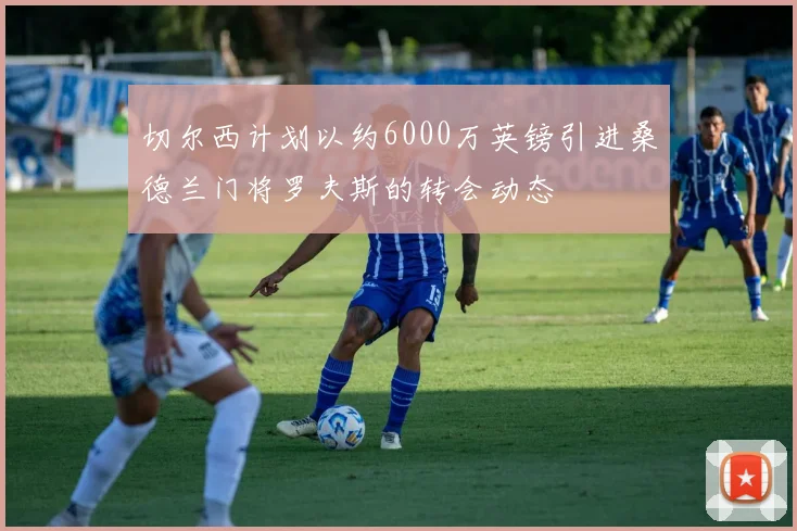 切尔西计划以约6000万英镑引进桑德兰门将罗夫斯的转会动态