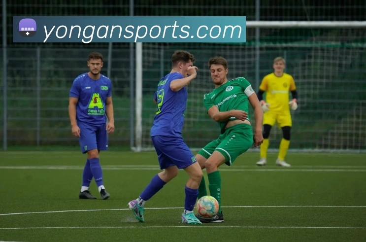 九游网官网网页版APP 高清赛事图